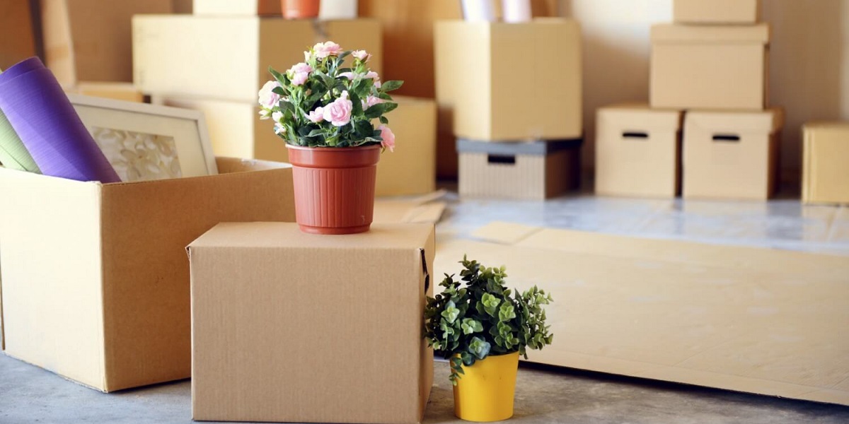 Domestic Moving