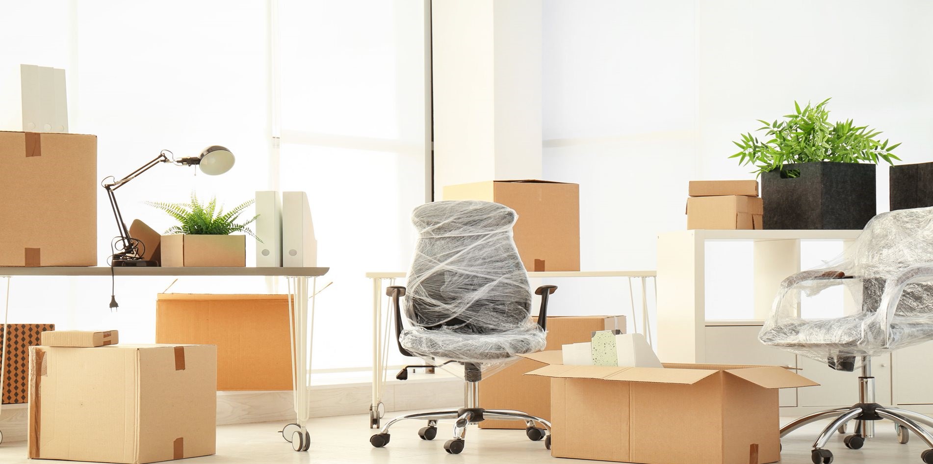 Office Shifting